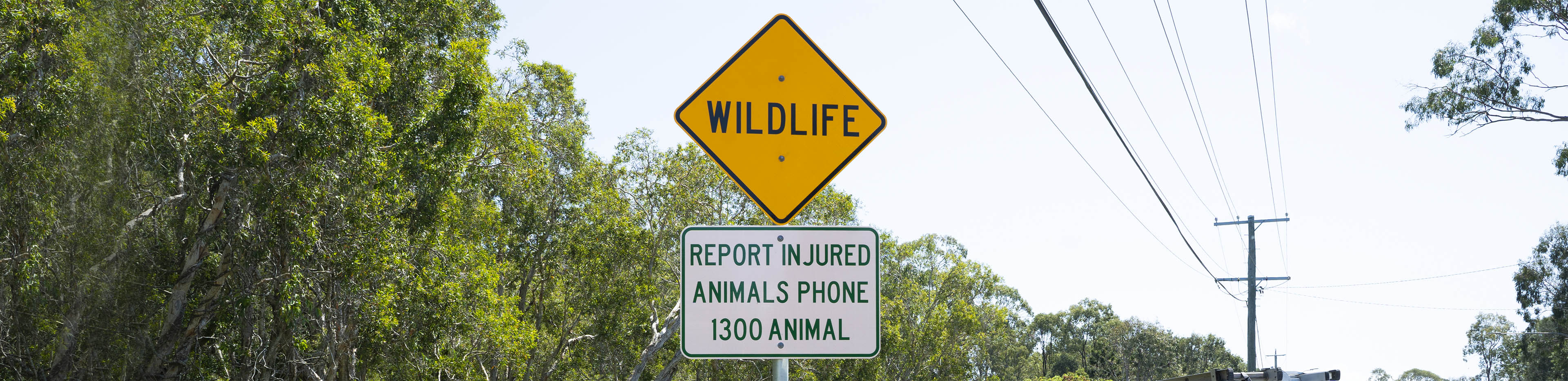 wildlife sign with 1300ANIMAL number beneath it